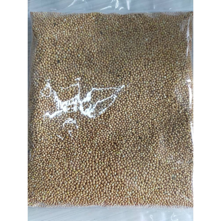 White Millet Bird Food / Hamster Snack (500g) Shopee Malaysia