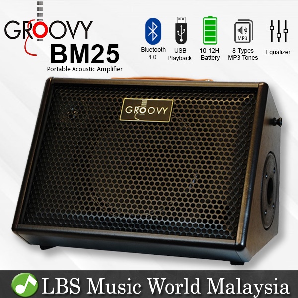 Groovy BM25 Class D Portable Bluetooth Monitor Speaker Amp Acoustic