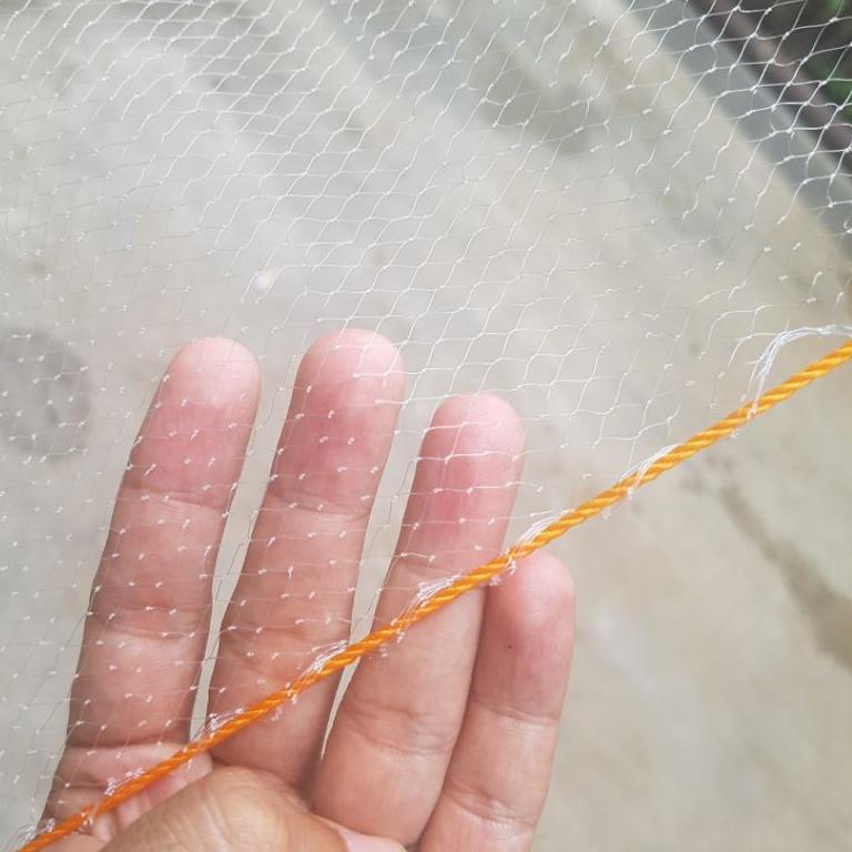 [CODE IJZZ8] TRADITIONAL ANCO FISHING NET (especially for small fish ...