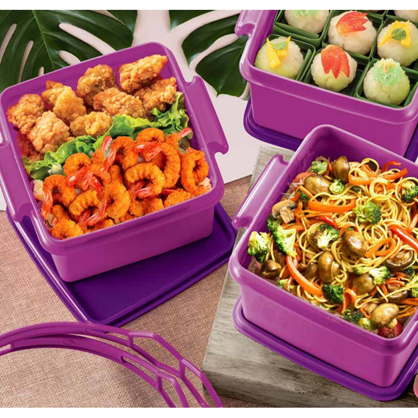 Tupperware Double Deep With Cariolier 1.7L (2 pcs) | Shopee Malaysia