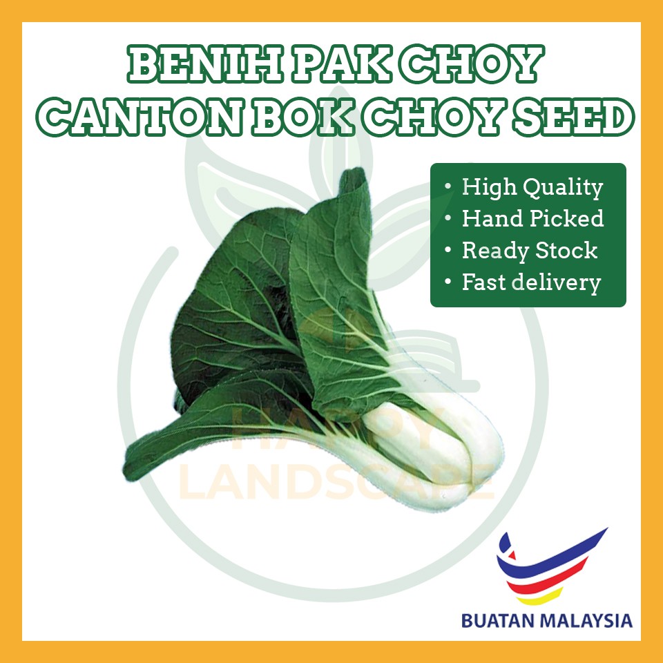 Benih Pak Choy Canton Bok Choy Seed | Shopee Malaysia