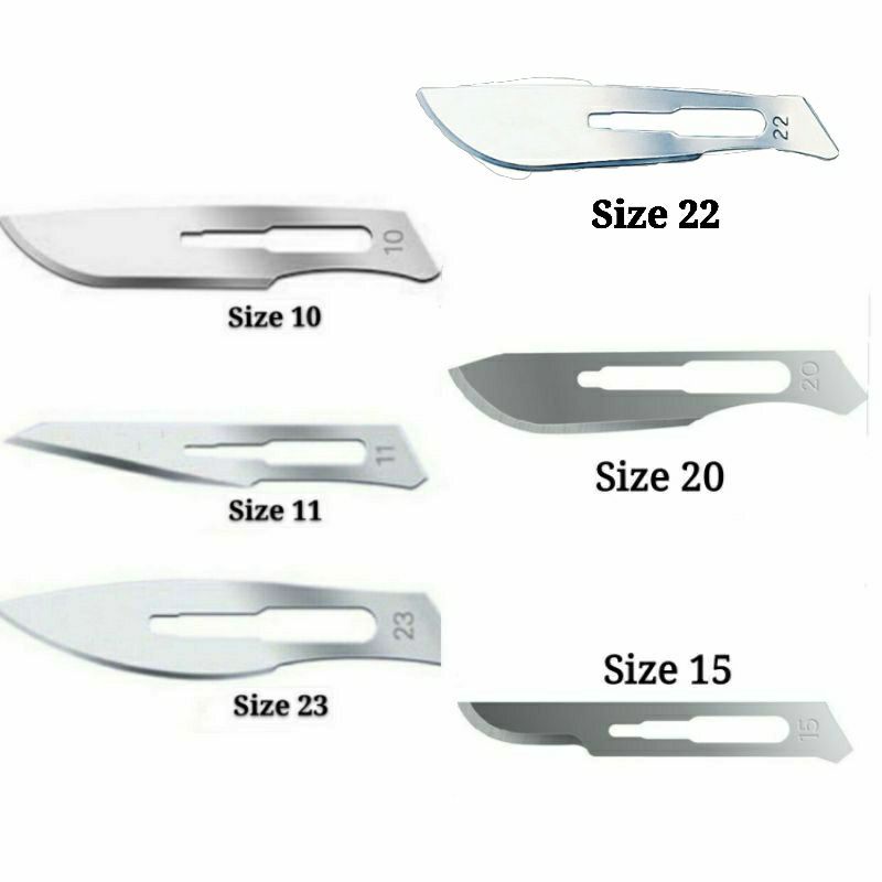 Surgical on sale scalpel sizes