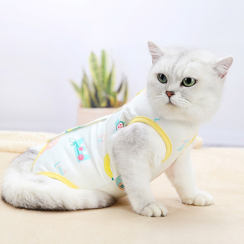 Rebate cat clothing sales