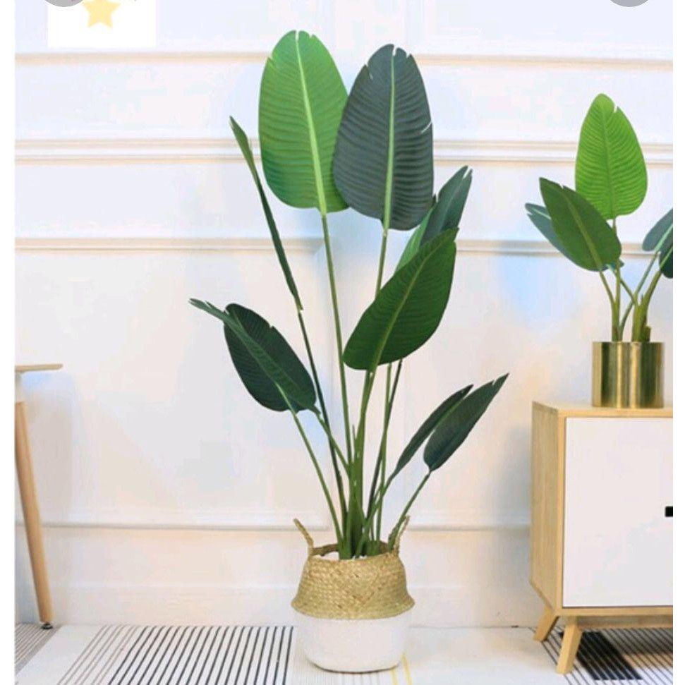 PREMIUM QUALITY ARTIFICIAL PLANT POKOK TIRUAN POKOK ARTIFICIAL BANANA