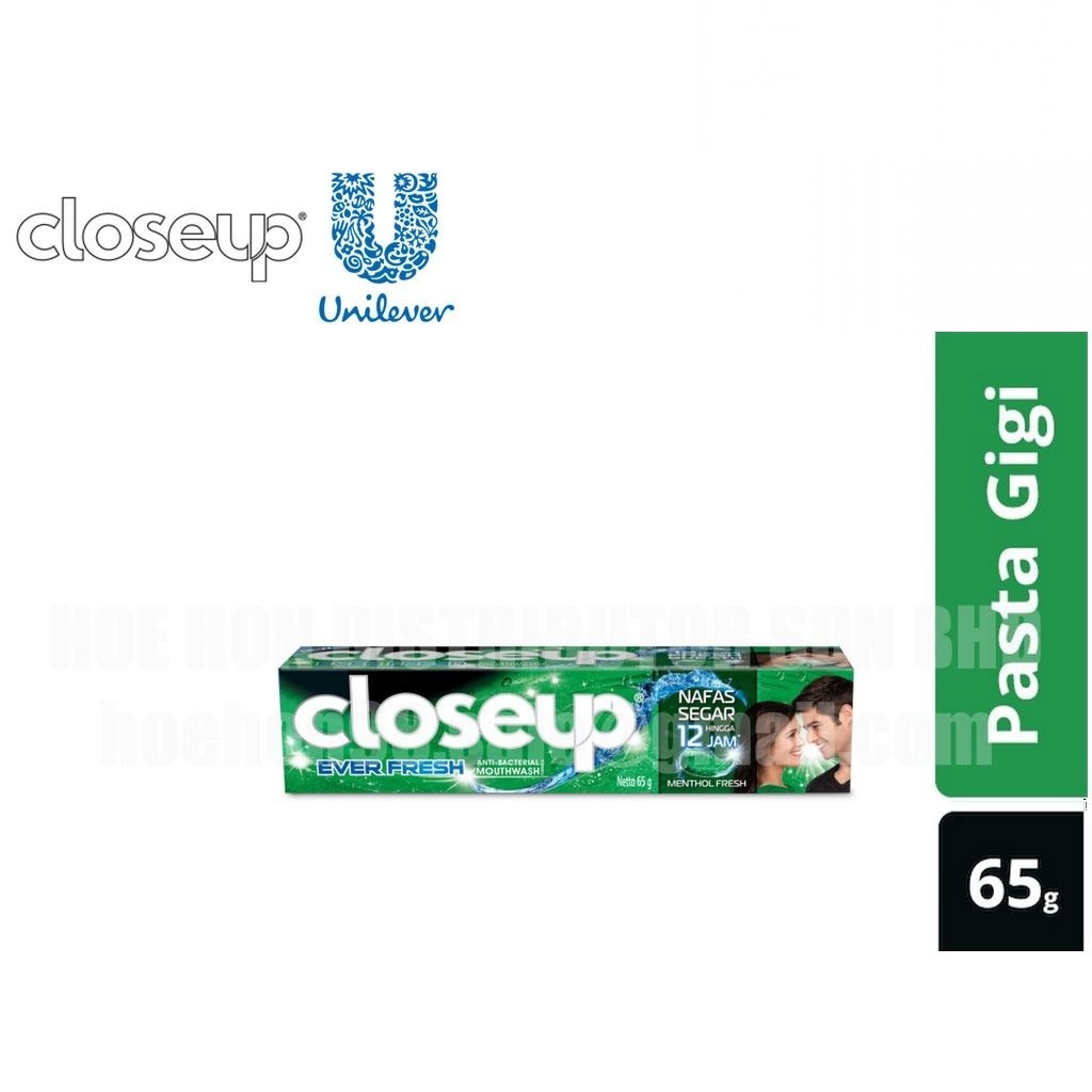 Closeup Fluoride Gel Toothpaste / Ubat Gigi Menthol Fresh / Icy Fresh