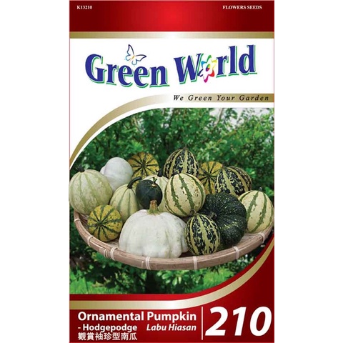 Green world ( ornamental pumpkin - hodgepodge labu hiasan 观赏袖珍型南瓜）210 ...