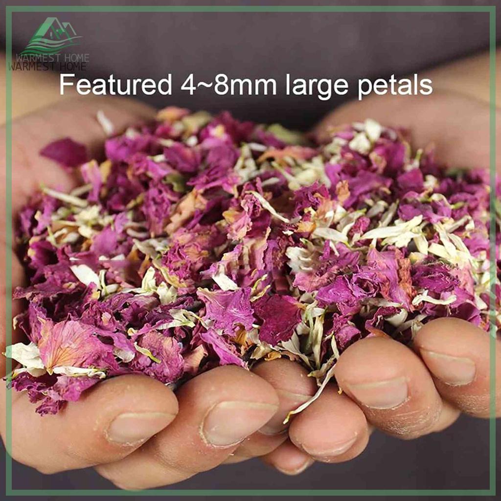 {Warm} 10 Packs Natural Wedding Confetti Dried Flower Petals Pop Bridal — free download