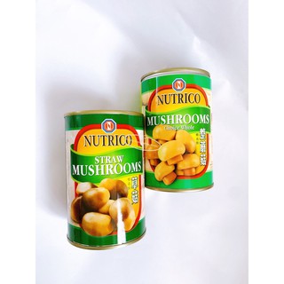 🔥【Ready Stock秒发货】AliShan Brand Mushroom (Whole) 阿里山牌蘑菇