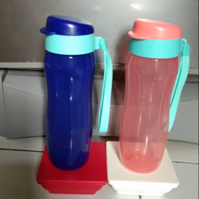 Tupperware eco bottle 500ml+petite ichigo 200ml (eco botle salem+ichigo ...