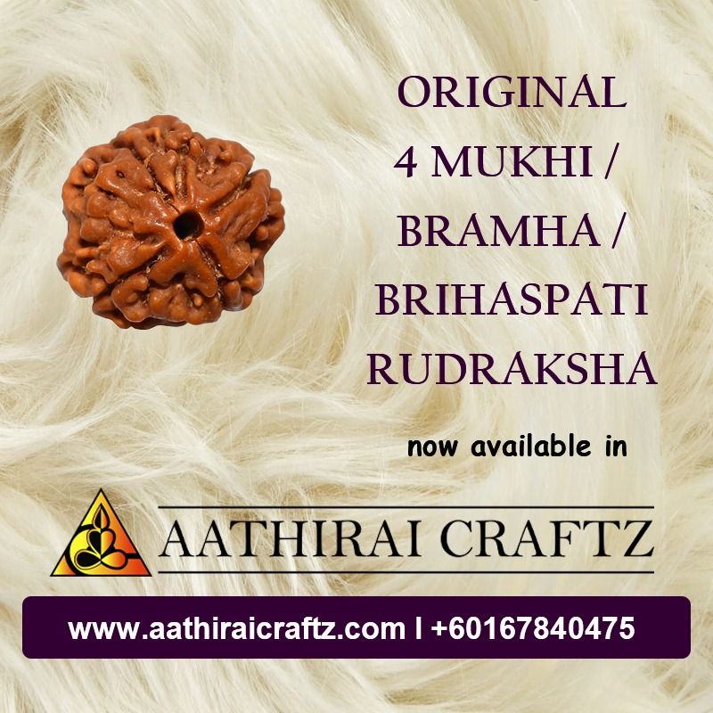 Original 4 (Four) Mukhi / Brahma / Guru Bagawan Rudraksha | Shopee Malaysia