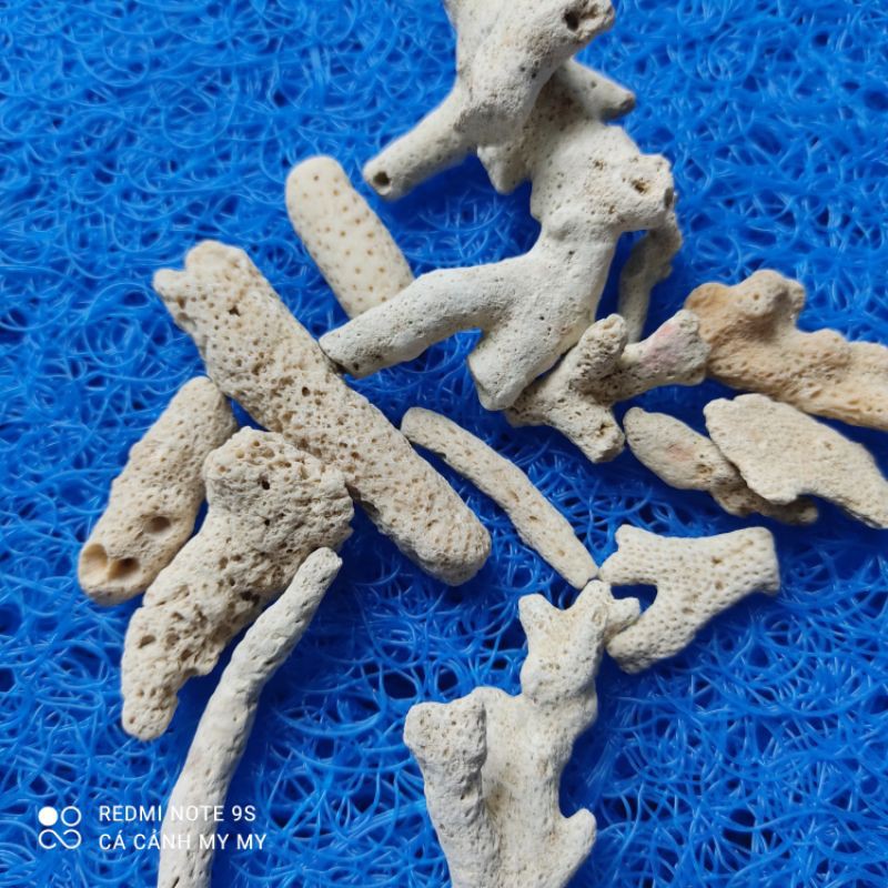 Crushed Corals Increase pH For Aquariums 1kg Shopee Malaysia