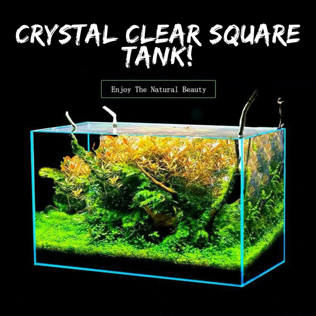 Square aquarium clearance