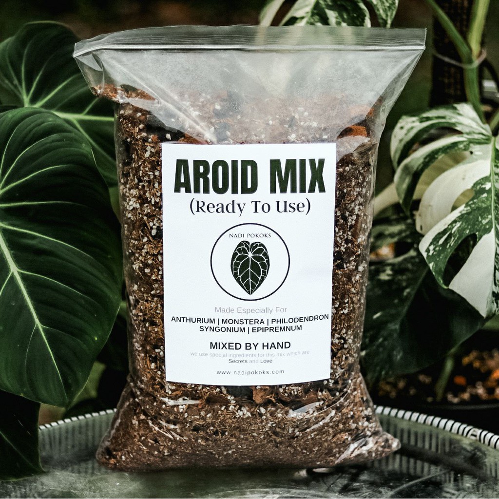 AROID MIX Ready To Use Soil Mix by NADI POKOKS especially for Anthurium ...