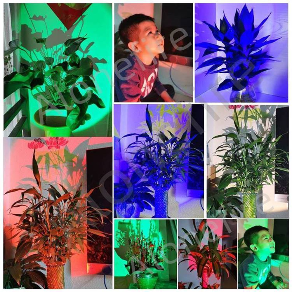 Alonefire X33 4 in 1 Multicolor Zoom Led White/Red/Green/Blue Lighting ...