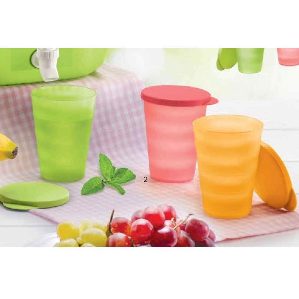 Tupperware Expression Tumbler with Seal (3) 330ml | Shopee Malaysia