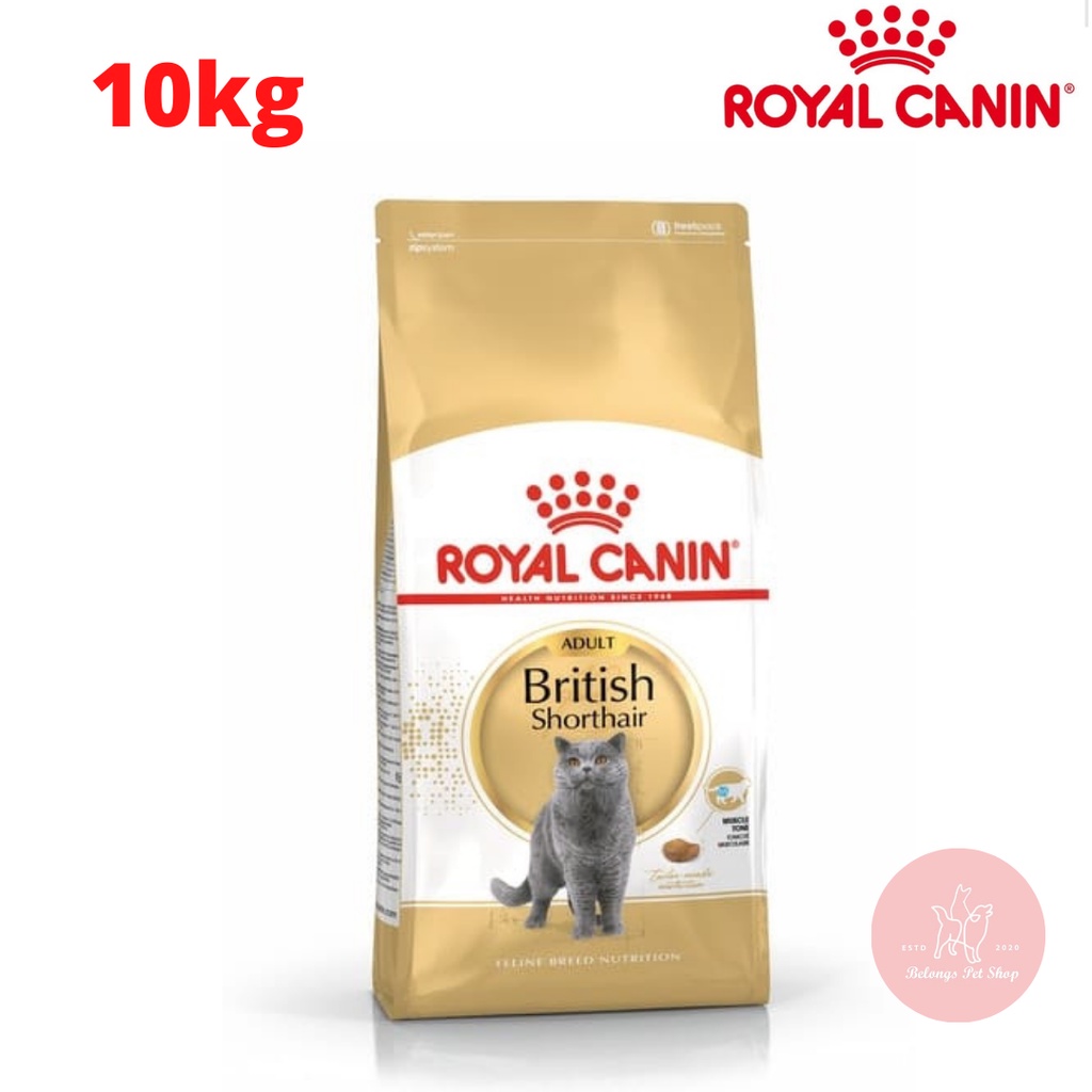 Royal canin 10kg british 2024 shorthair