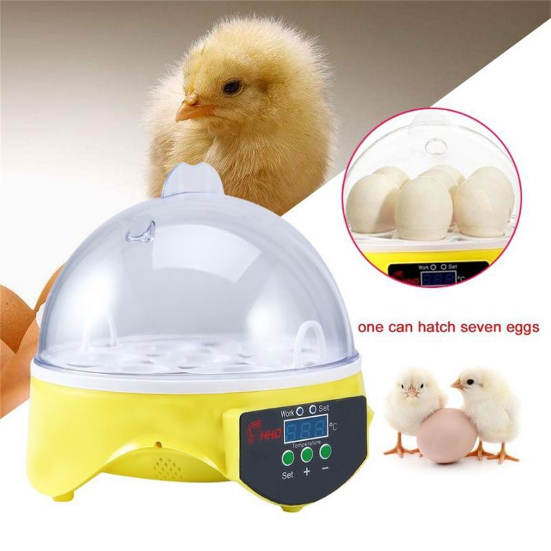 Automatic 7 Eggs Turning Incubator Chicken Hatcher Temperature Control ...