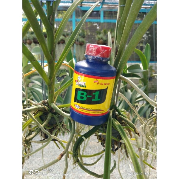 Baja B1 Untuk Kesuburan (100mL) | Shopee Malaysia