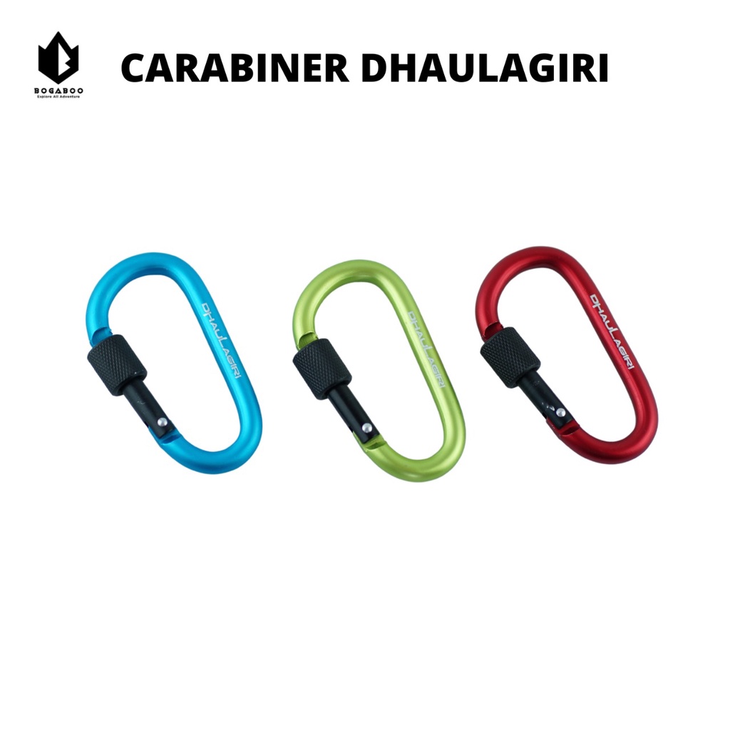 Carabiner Hook DH01 Model DRing Screw Lock Quickdraw Carabiner