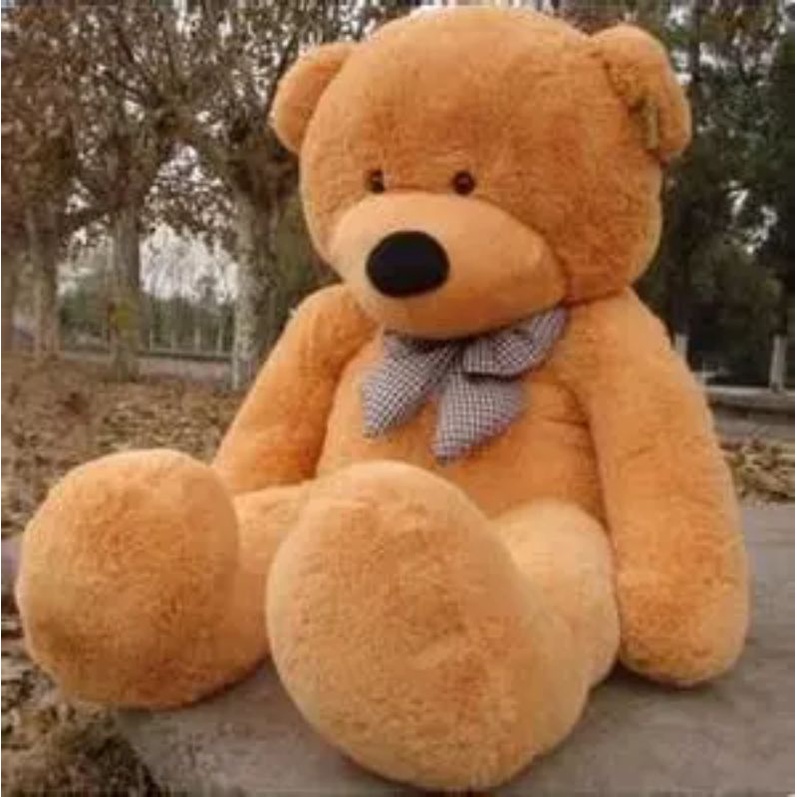 Teddy store bear besar