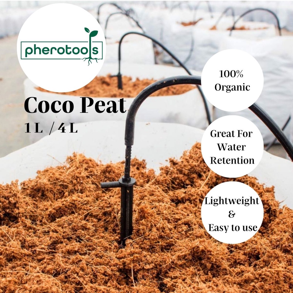 Pherotools Coco Peat /Coco Coir/ cocopeat (Sabut Kelapa Growing Medium