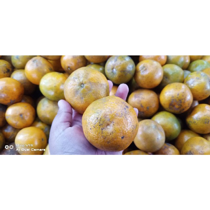 Limau Madu Manis Sangat 1kg Shopee Malaysia 7331