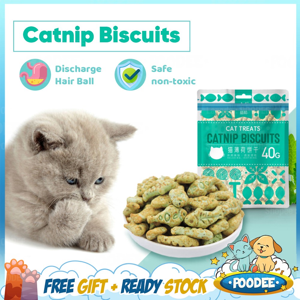 POODEE 40g Cat Catnip Biscuits Snacks Biskut Kucing Vitamin Removing