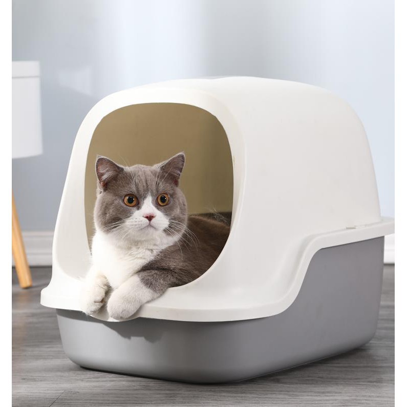 Cat boxes best sale for sale