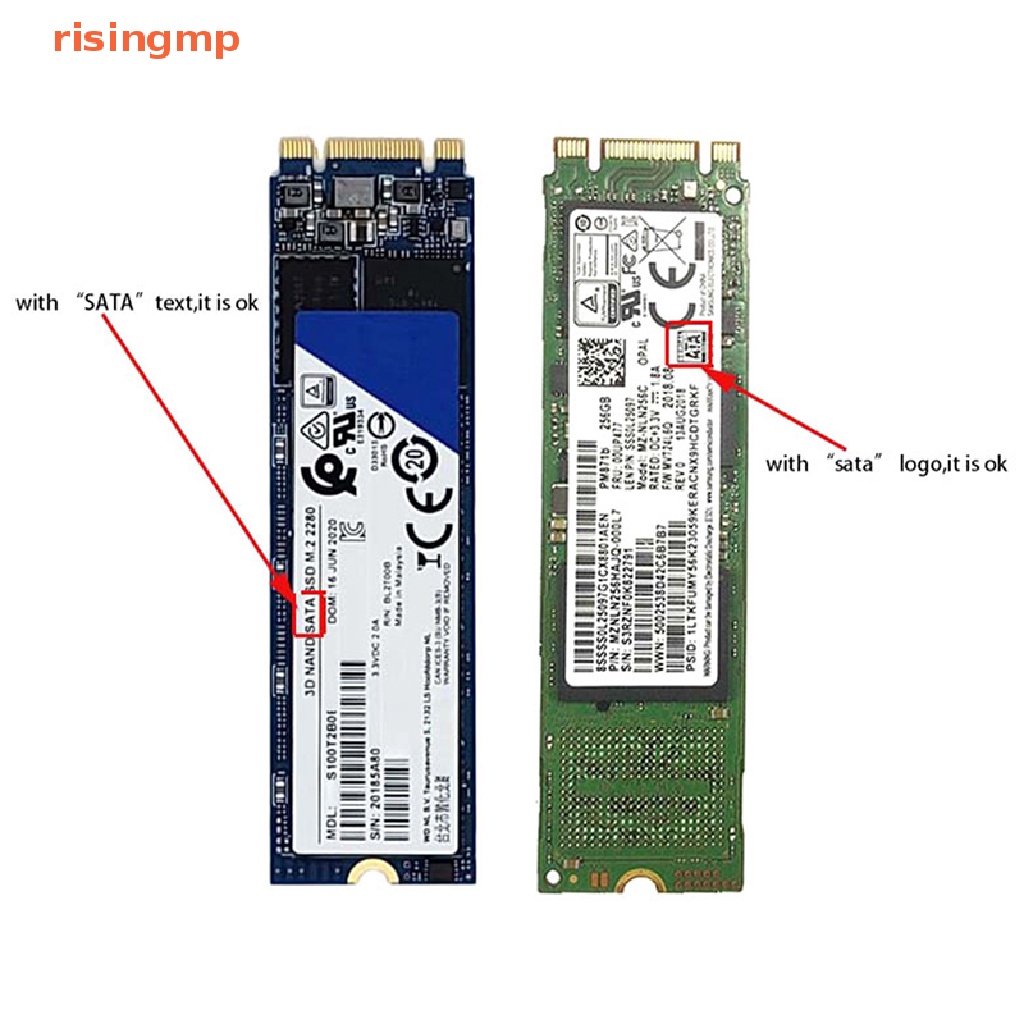 Risingmp New Sata M Ngff Ssd To Sata Sata To M Ngff Ssd Adapter Riser Card Hot