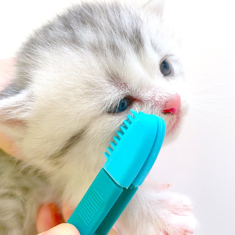 Pet Eye Brush Comb Cat Tear Stain Remover Brush Cat Grooming Brush