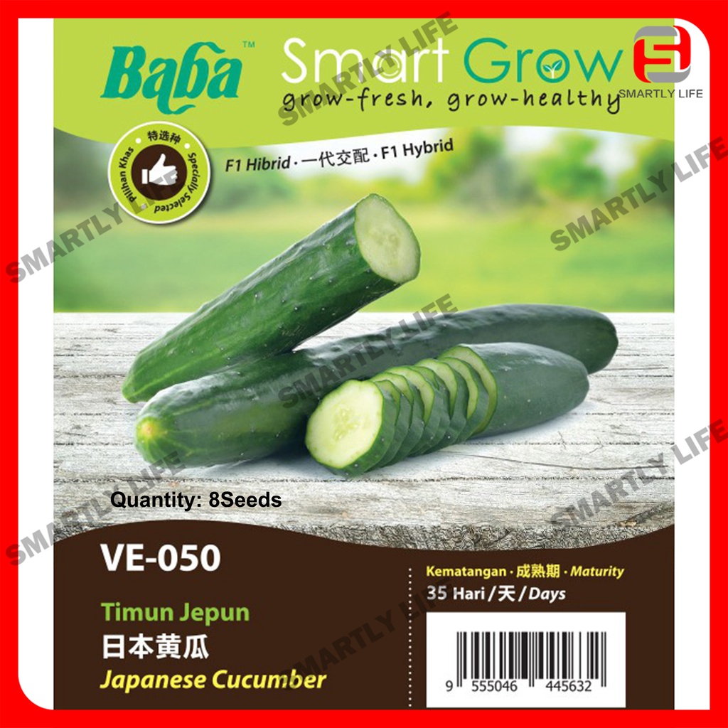 Baba Smart Grow Seed: VE-050 F1 Japanese Cucumber 日本黄瓜 Timun Jepun Biji ...
