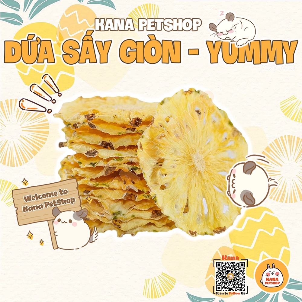 Pineapple Dried 20G ColdDried Aromatic Food Waste Bun For Rabbits