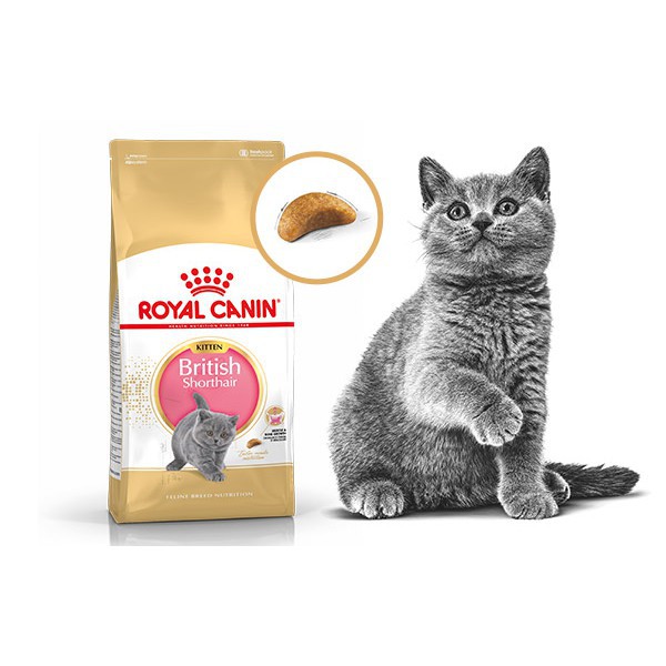 Royal canin british store shorthair kitten 4kg