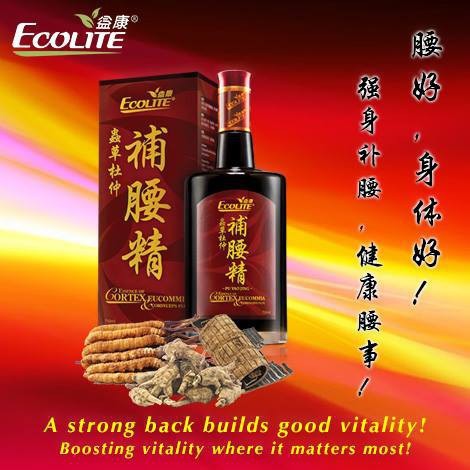 ECOLITE 益康虫草杜仲补腰精 PU YAO JING 750ML | Shopee Malaysia