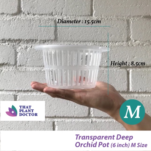 Transparent Deep Orchid Pot (M Size / 6 inches pot) | Shopee Malaysia