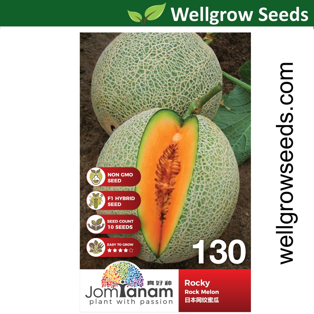 Rock Melon Rocky (10 seeds) 日本网纹蜜瓜 Jom Tanam by Crop Power JT130 Biji ...