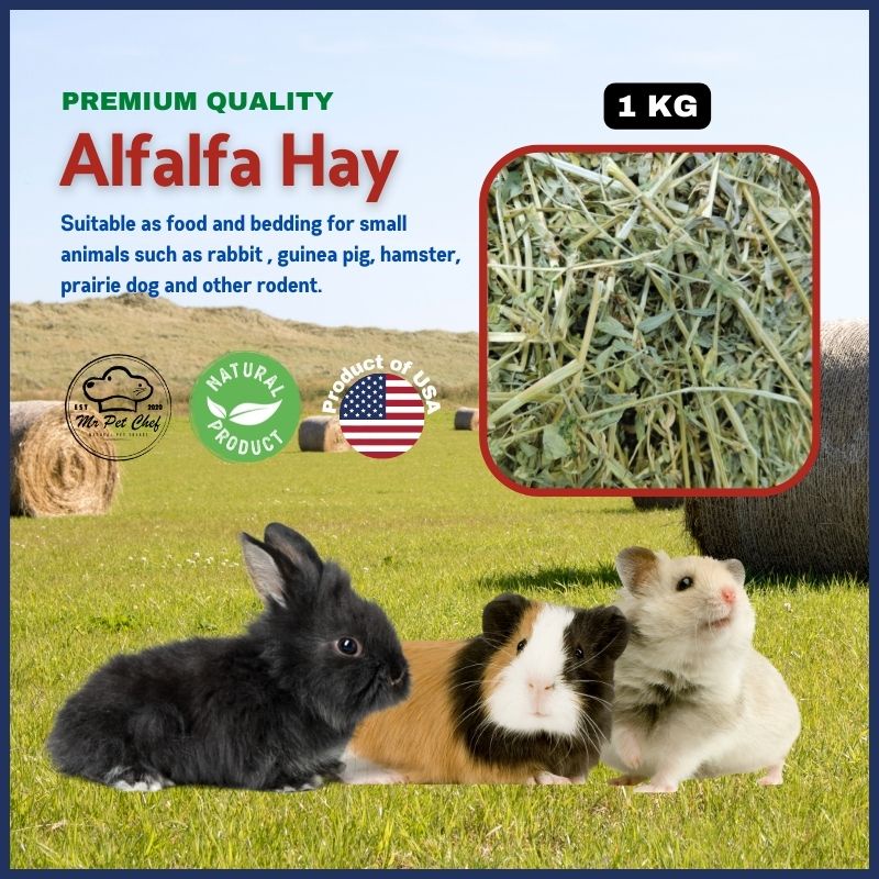 Alfalfa hotsell rabbit food