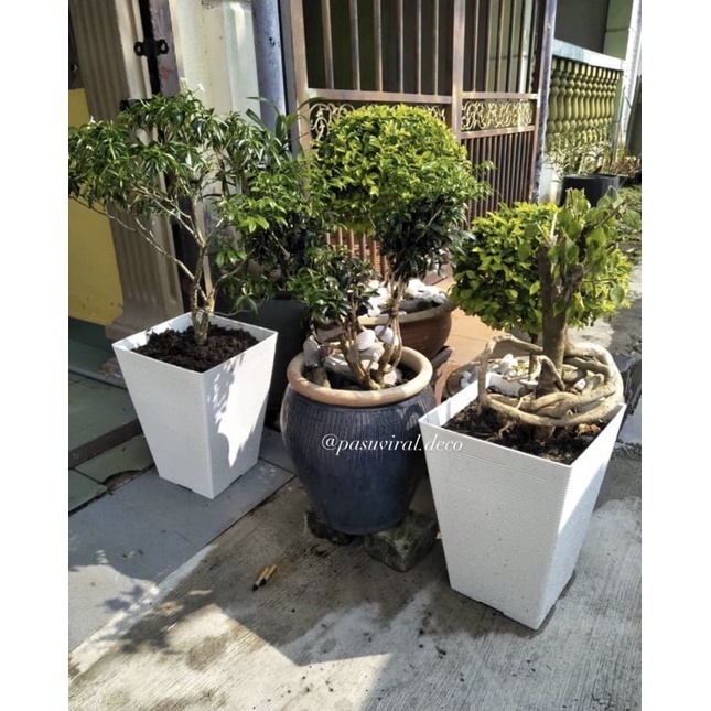 Pasu petak tinggi /square flower pot (FBL 2455) / pasu bunga petak ...