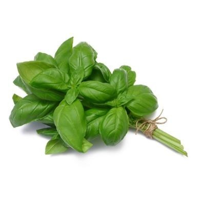 Basil Leaf Herbs 50g pkt Shopee Malaysia