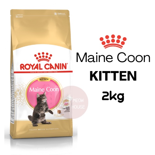 Royal canin maine coon kitten clearance food