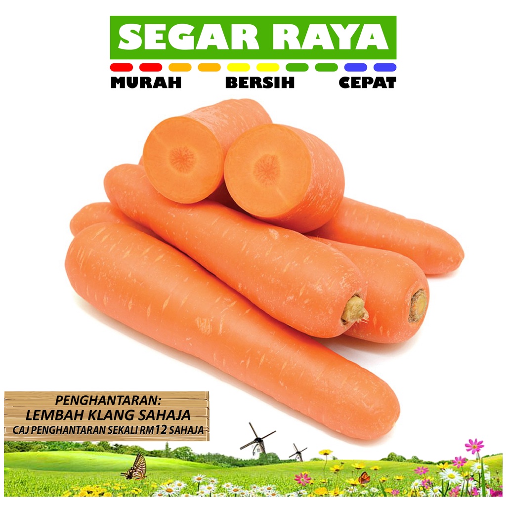 Sayur Lobak Merah Carrot 400g Segar Raya Shopee Malaysia