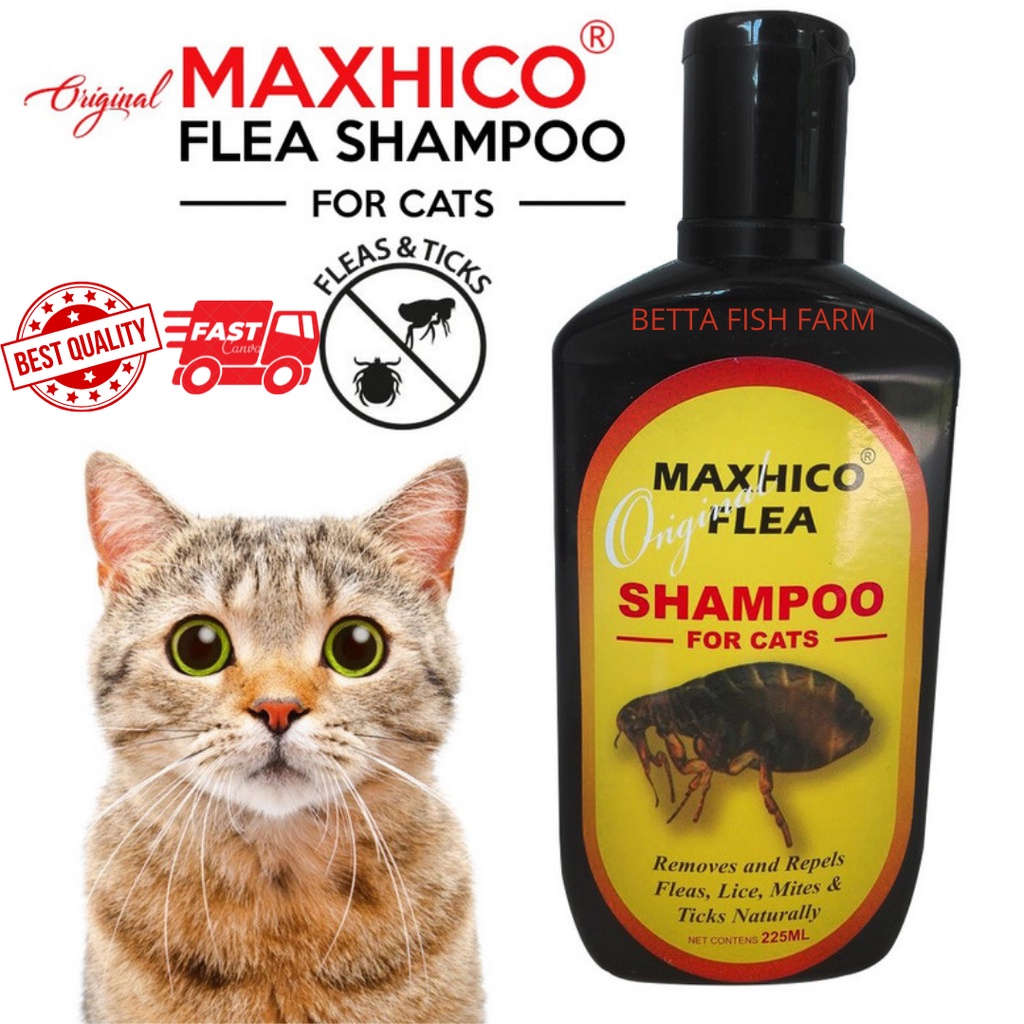 View of Shampoo Kutu Kucing Maxhico Flea Cat Shampoo /225ML | Shopee Malaysia