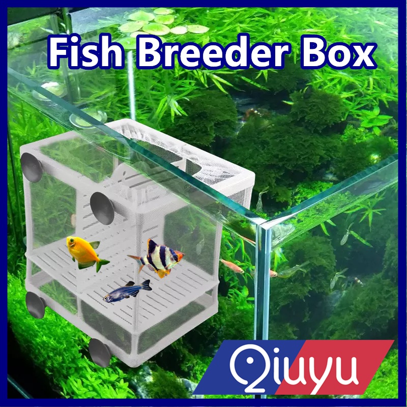 Aquarium Fish Breeder Box Shopee Malaysia