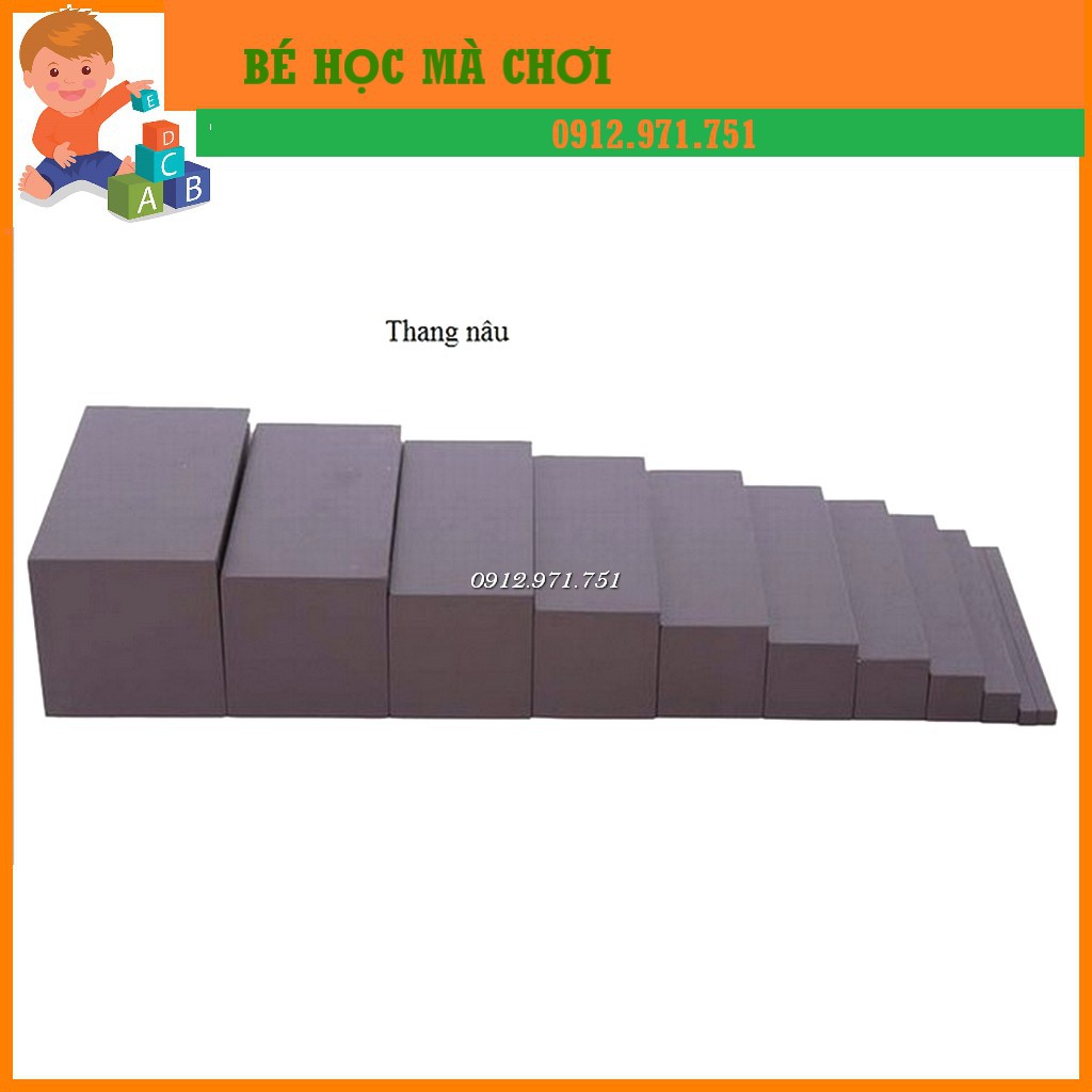 Montessori Teaching Tools Brown Ladder (Family Version) Shopee Malaysia