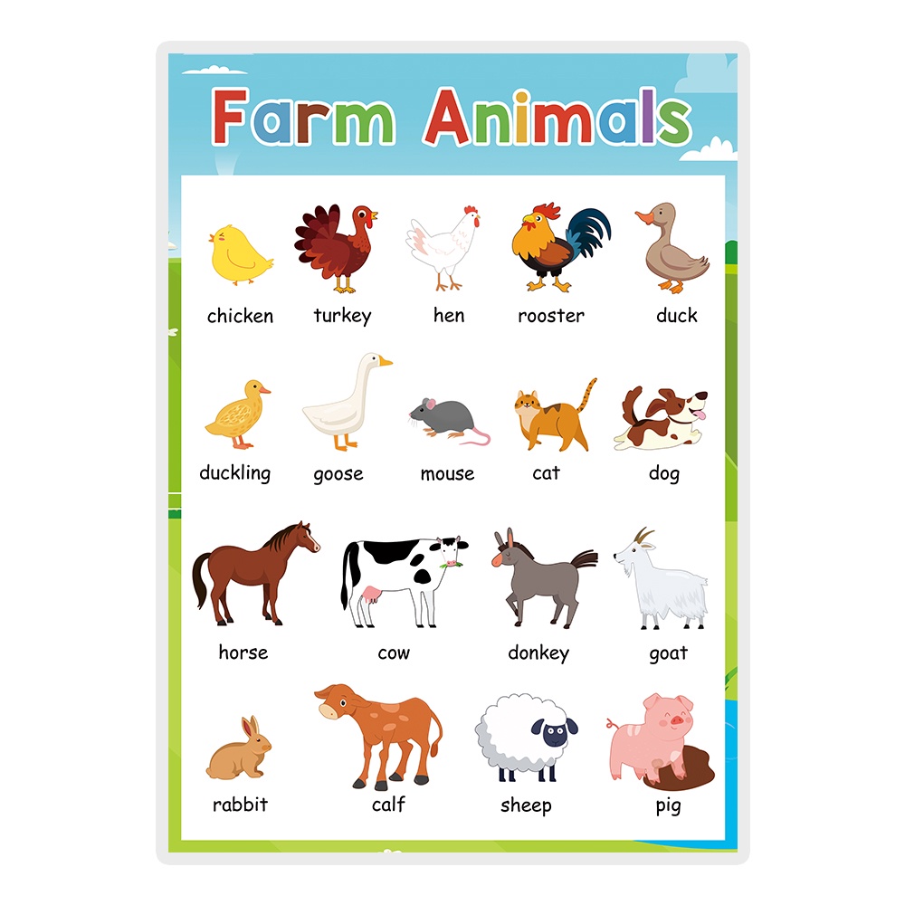 20 Themes Learning English for Children Fruit Color Animal Body Big ...