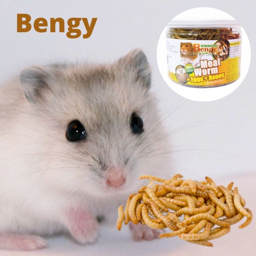 Bengy Mealworm / Large Mealworms (Hamster, Sugar Glider, Hedgehog, Bird