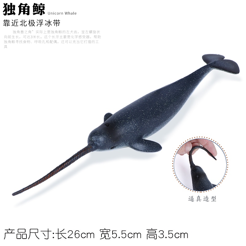 Jurassic Simulation Marine Life Shark Toy Whale Animal Model Bow Whale