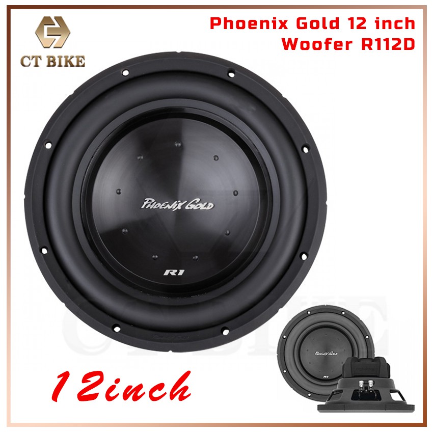 Phoenix gold store 12 inch subwoofer