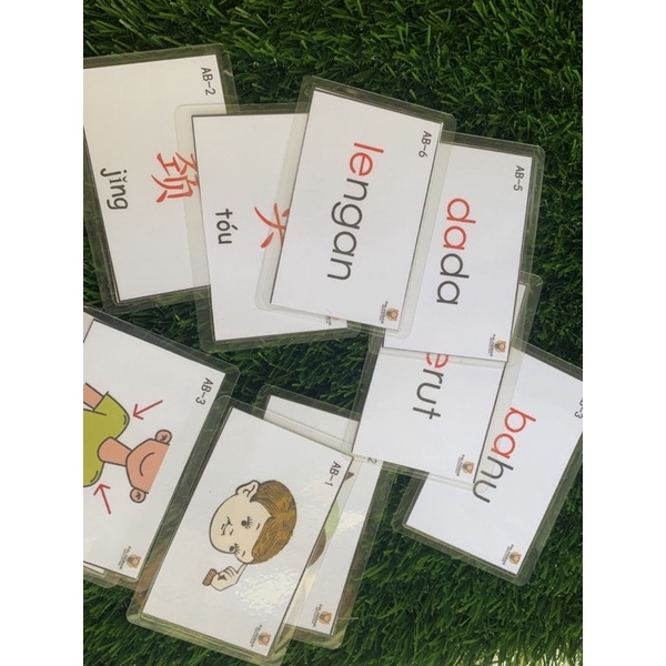 🇲🇾 Ready Stock | Anggota Badan Flash Card ( Malay + Mandarin) | Shopee ...