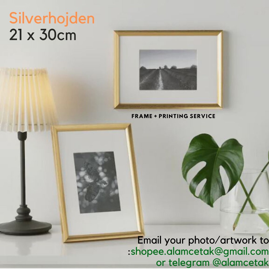 [Including Custom Photo Print Option] 21 x 30cm size A4 Ikea Gold Photo